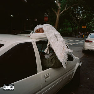 Negro Swan , Blood Orange