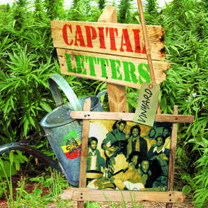 Vinyard , Capital Letters