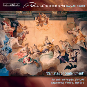 Secular Cantatas 10 