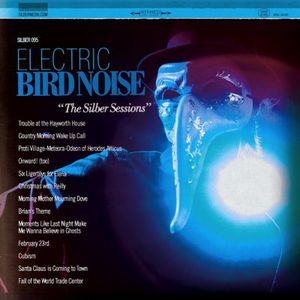 The Silber Sessions , Electric Bird Noise