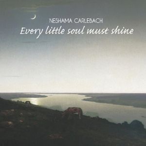 Every Little Soul Must Shine , Neshama Carlebach