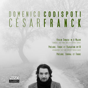 Preludes Violin Transcription , Domenico Codispoti