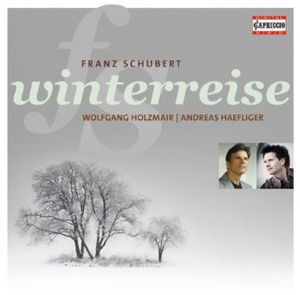 Winterreise Op 89 D 911 , Wolfgang Holzmair