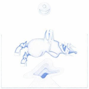 Ape In Pink Marble , Devendra Banhart