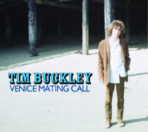 Venice Mating Call , Tim Buckley