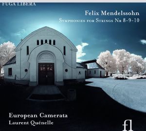 Symphonies for String 8-10 , Laurent Quenelle