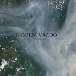 Caught in the Trees , Damien Jurado