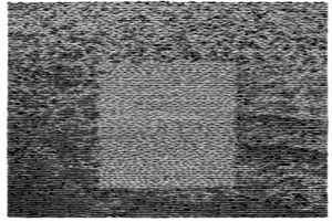 Grid Of Points , Grouper