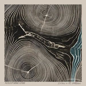 Rivers in the Wasteland , Needtobreathe
