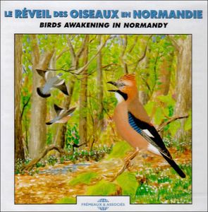 Birds Awakening in Normandie , Sounds Of Nature