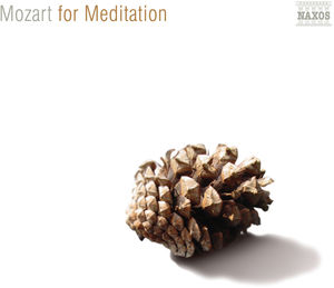 For Meditation , Classical Kids