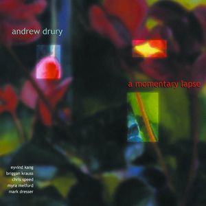 Momentary Lapse , Andrew Drury