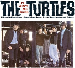 It Ain't Me Babe , The Turtles