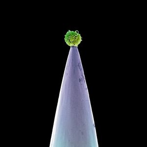 New Blood , Peter Gabriel