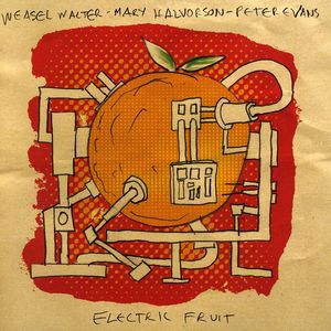 Electric Fruit , Mary Halvorson