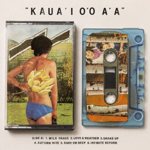 Kaua'i O'O A'a , Gentle Friendly