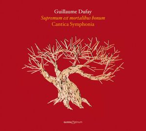 Supremum Est Mortalibu Bonum: Motets 2 , Cantica Symphonia