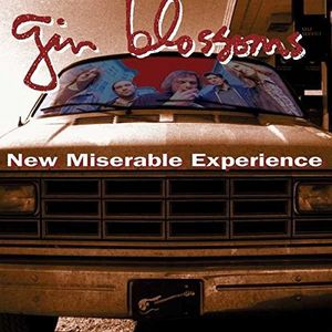 New Miserable Experience , Gin Blossoms