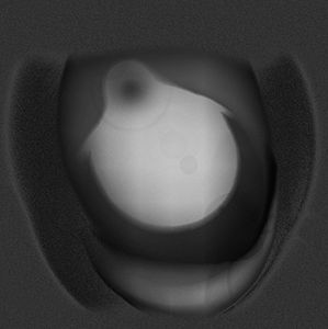 Milk & Peppers [Import]