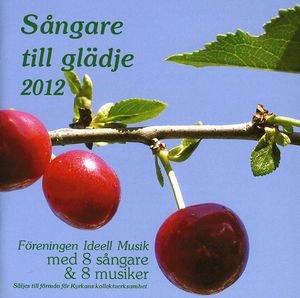 Sangare Till Gladje 2013 / Various , Various Artists