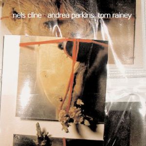 Out Trios, Vol. 3 , Nels Cline