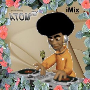 Imix Minilp , Atom TM