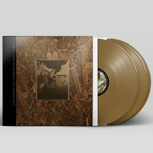 Come On Pilgrim It's Surfer Rosa , Pixies