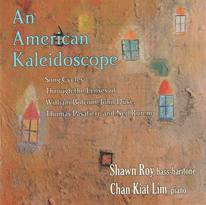 American Kaleidoscope , Chan Kiat Lim