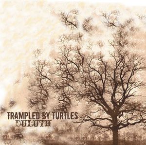 Duluth , Trampled by Turtles