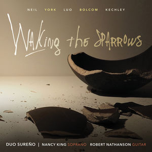 Walking the Sparrows