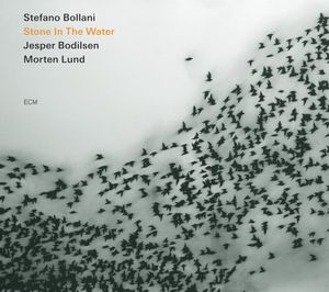 Stone In The Water , Stefannie Bolarni