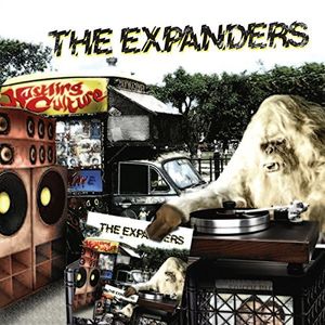 Hustling Culture , The Expanders