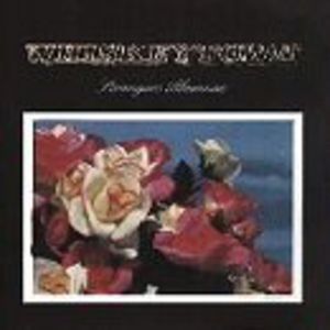 Strangers Almanac , Whiskeytown