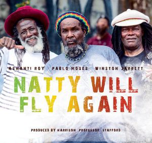 Natty Will Fly Again / Various , Various Artists