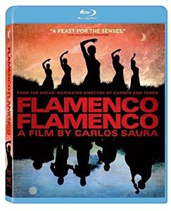 Flamenco, Flamenco