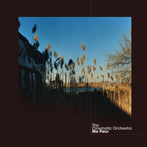 Ma Fleur , The Cinematic Orchestra