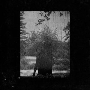 Ruins , Grouper