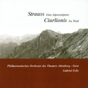 An Alpine Symphony / Miske , Gabriel Feltz
