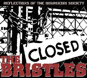 Reflections of the Bourgeois Society , The Bristles
