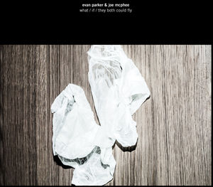 What/ If/ They Both Could Fly , Evan Parker