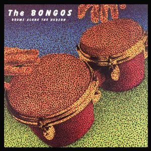 Drums Along the Hudson , The Bongos