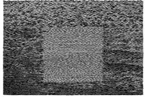 Grid Of Points , Grouper
