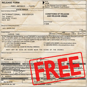 Free From The Dungeons Of Dub , International Observer