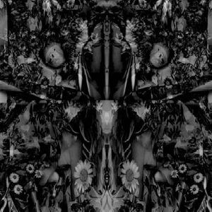 Songs Of Flowers and Skin , Aidan Baker