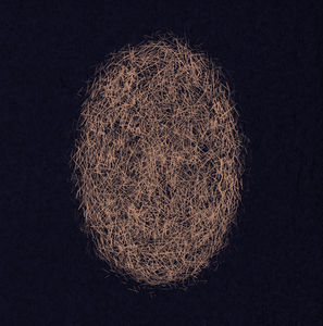Last Signs Of Speed , Eli Keszler