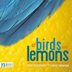 Of Birds & Lemons 