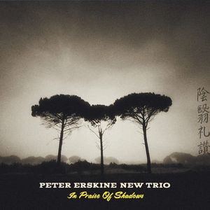 In Praise Of Shadows , Peter Erskine New Trio