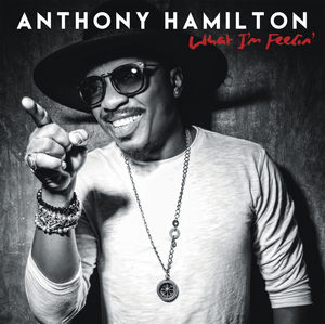 What I'm Feelin' , Anthony Hamilton