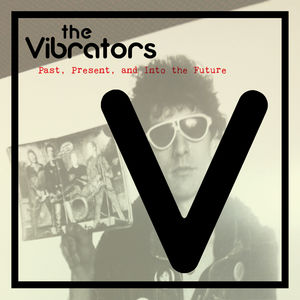 Past Present And Into The Future , The Vibrators