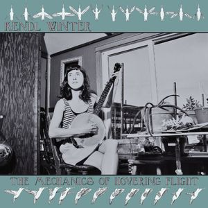 The Mechanics Of Hovering Flight